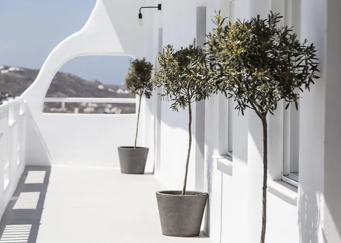 My Mykonos מלון 4*